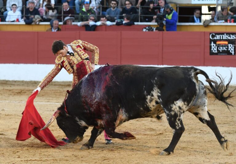 Coupe Chenel: la dimension de Sergio Rodríguez est imposée à San Agustín de Guadalix