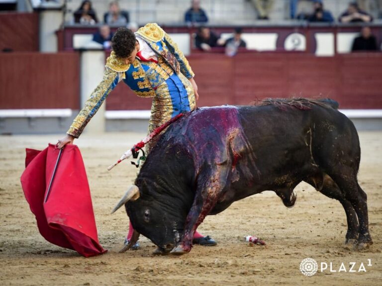 Important et sans écho de Ruiz marin dans sa présentation à Las Ventas