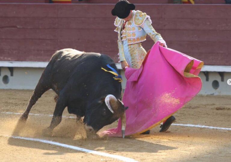 Javier Zulueta: Puerta Grande … et Strong Voltereta (vidéo)