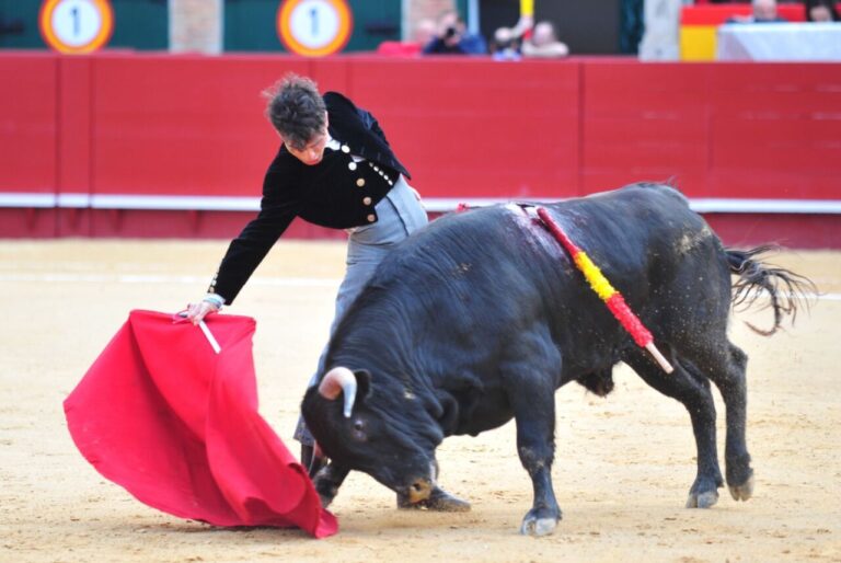 Joselito de Córdoba, empreinte à Valence, à un pas des débuts à Montoro (vidéo)