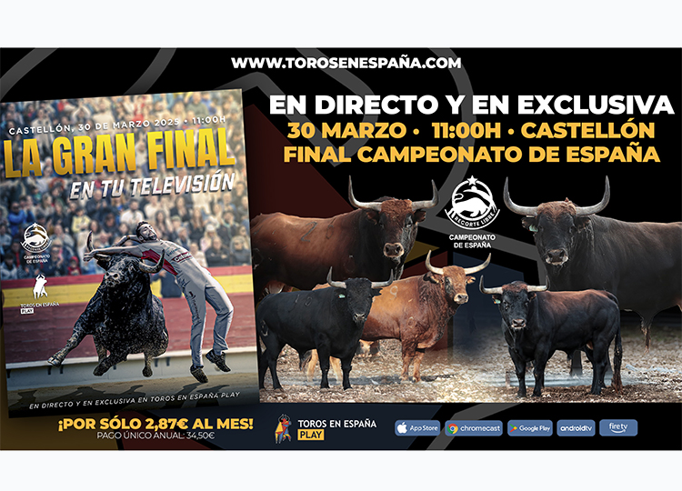 La grande finale du championnat espagnol de Castellón Trimmers, en direct sur votre télévision