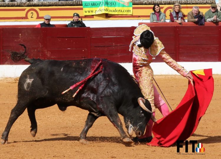 La tâche tempérée de Tomás Bastos à Olivenza (vidéo)