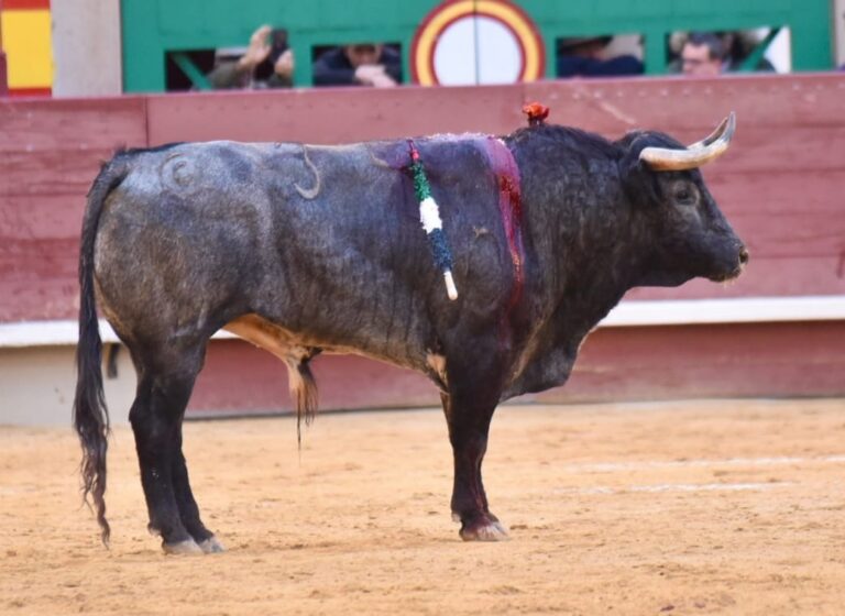 Le cinquième obtient une étape importante: «Ruiiseñor», d'abord pardonnée dans l'histoire de Castellón