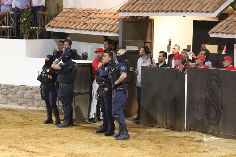 Les autorités pénètrent dans l'arène et suspendent la course de Querétaro