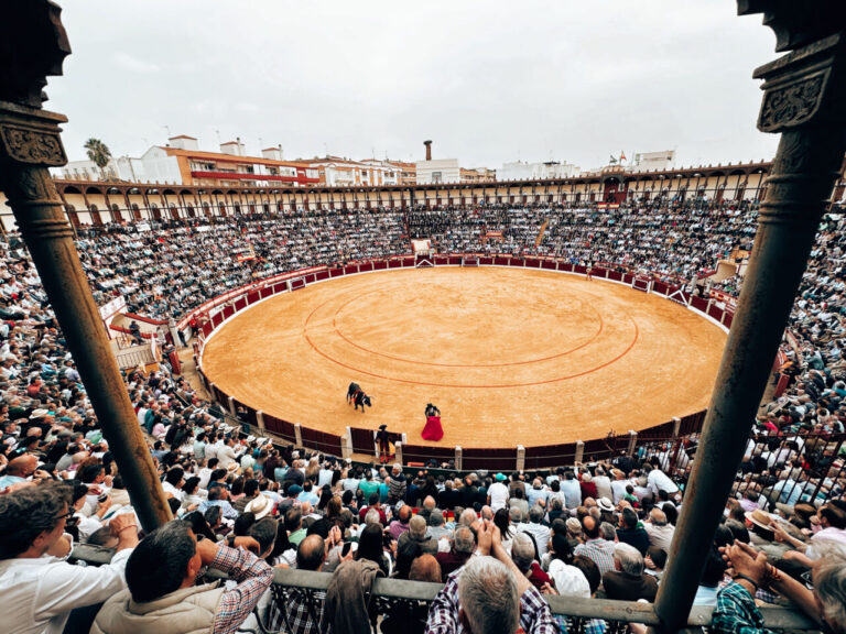 Les célébrations d'Almendrejo et Arenas de San Pedro, avec des réductions pour les cordes