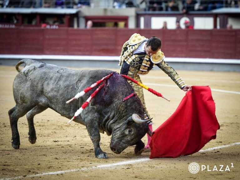 Madrid: La livraison payée avec du sang de Damián Castaño et une entrée de San Isidro