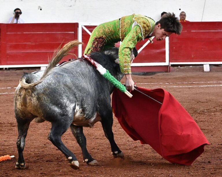 Mario Vilau, une trajectoire de deux et 7 centimètres dans la cuisse gauche à Aguascalientes