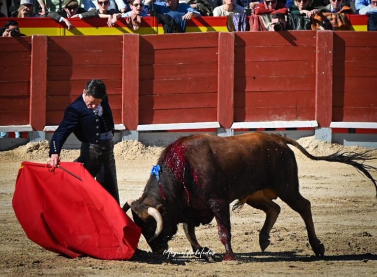 Miguel Ángel Perera Perraeja au second de Torrealta (direct: chinchón)