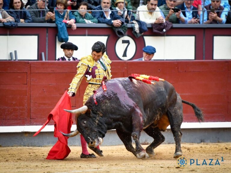 Morante de la Puebla réapparaîtra à Almendrejo