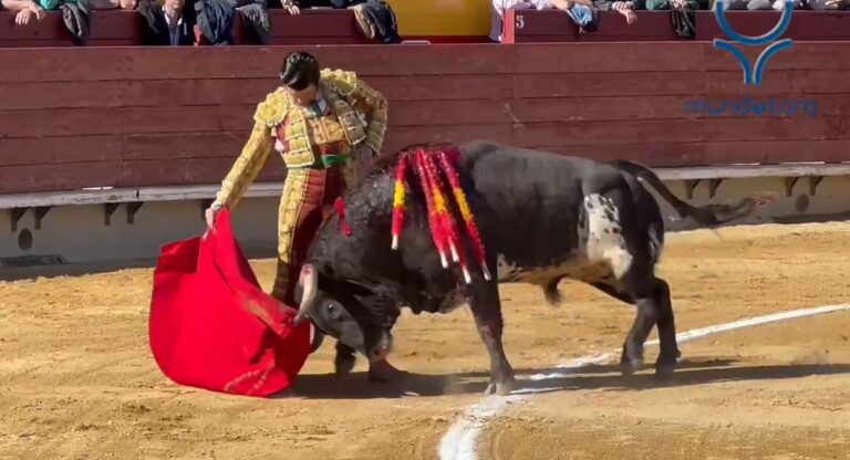 Morante: une tâche de taureaux Castellón (vidéo)