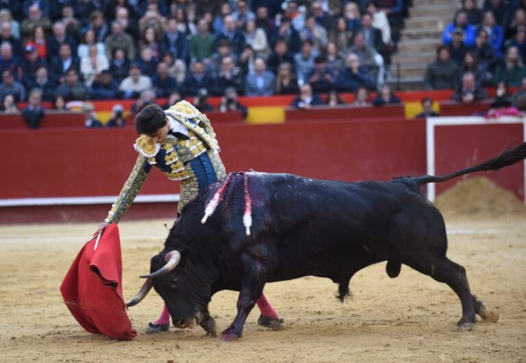 Roca Rey et «Freny», le fusible et la poudre à canon du grand mascletá à Valence