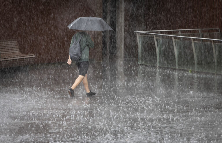 Suspendu la célébration des Rejones en fenouil à cause de la pluie