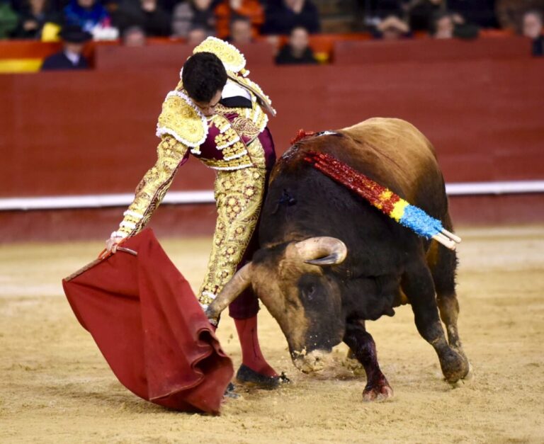 Tomás Rufo par Manzanares demain à Valence