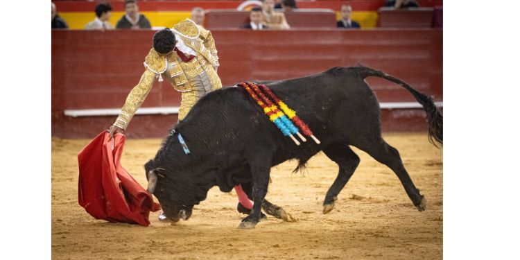 Valencia: Marco Polope, Clovis et Ignacio Garibay marchent un trophée dans le Novillado sans Picadores