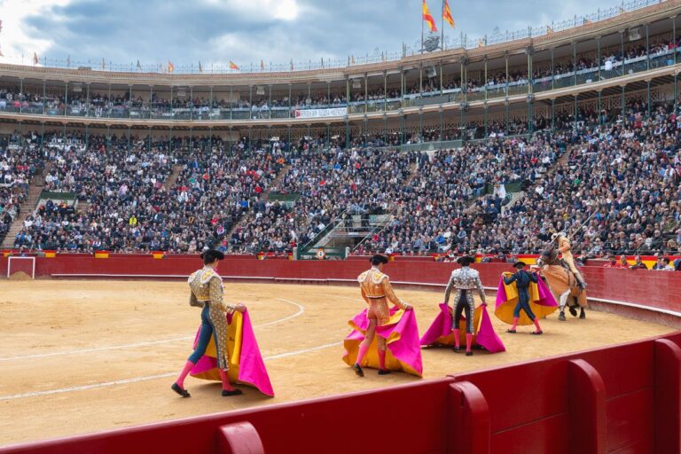 La combustion de taureaux et la solidarité servent la main ce dimanche au festival du Dana de Valence