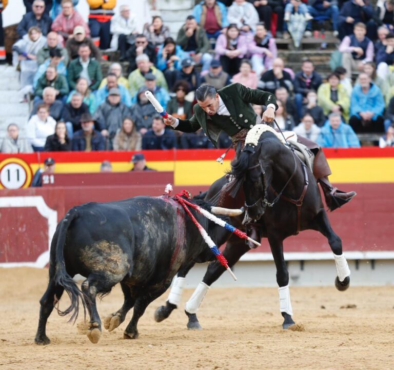 Ventura: Horse Art, encore une fois