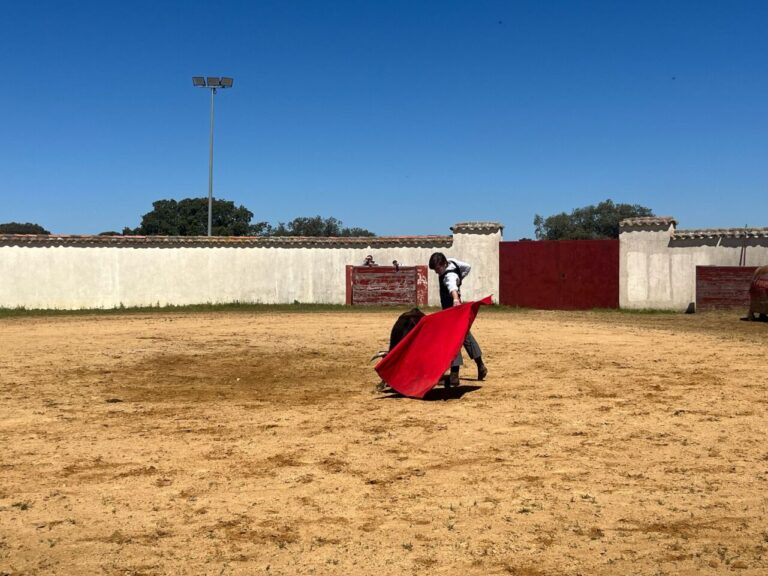 A révélé les taureaux classifiés du sac pour participer au circuit de Castilla y León 2025