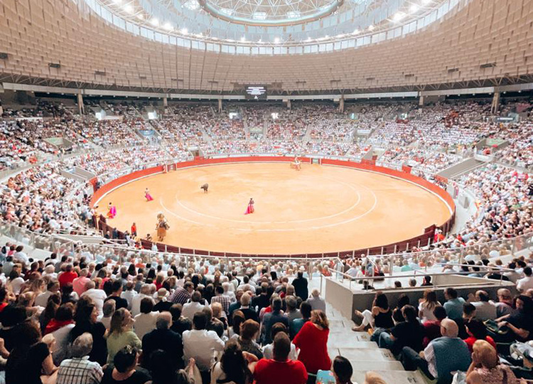Burgos: figures consacrées et jeunes émergents à une foire à San Pedro et San Pablo de 'Ten'