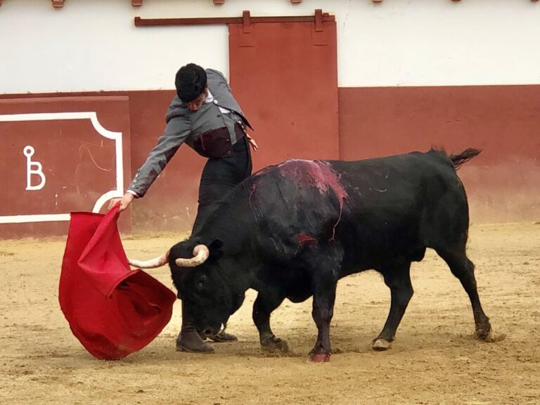 Diego García, préparation à Lusas et terres extrémités avant sa confirmation à Madrid
