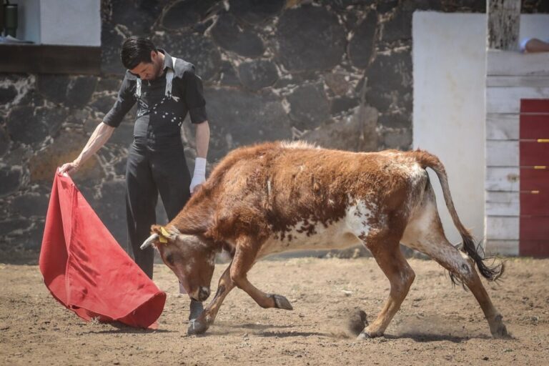 Emilio de Justo prépare son retour à Aguascalientes dans la campagne mexicaine