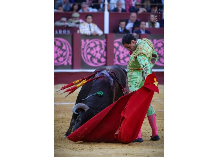 Fortes se battra dans l'une des affiches fortes de la foire d'Almería