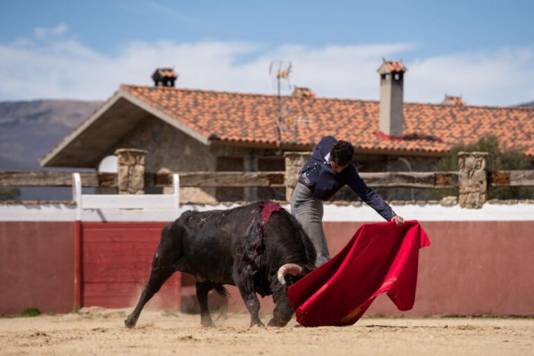 García Pulido, une préparation de luxe pour Alalpardo (galerie)