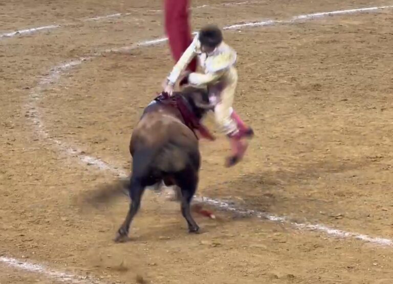 Javier Zulueta: une fente sans soulagement et un saut périlleux pour contenir