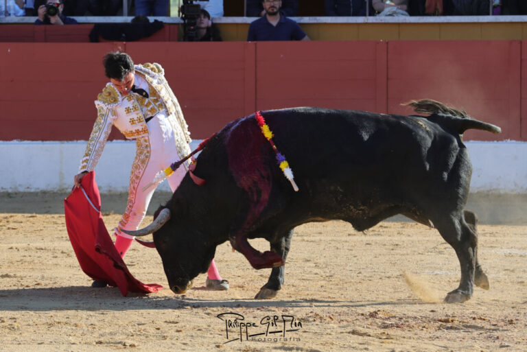Juan de Castilla: un nom pour viser un circuit