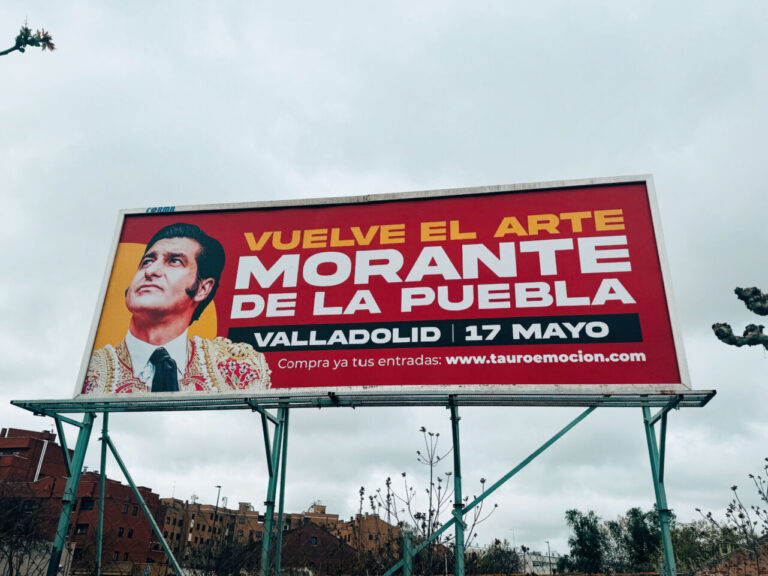 La corridarie prend les rues de Pucela sous la campagne: «La corrida bat dans le cœur de Valladolid»