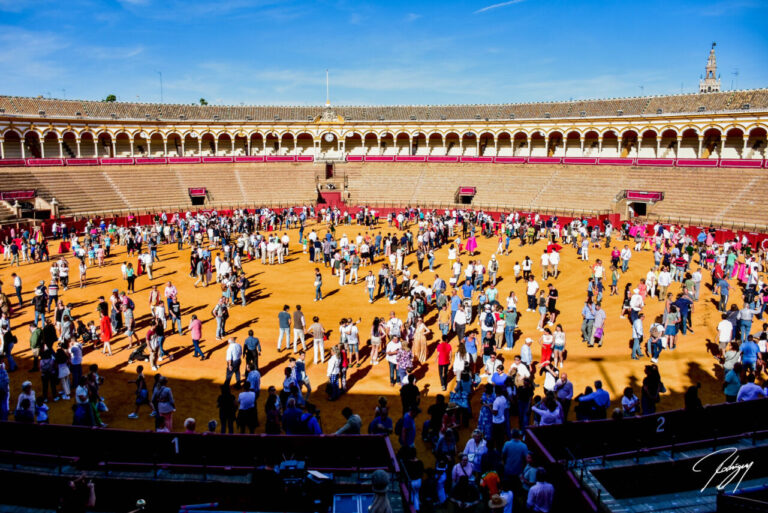 Le vrai maestranza de Sevilla, une journée de portes ouvertes pour tous les fans