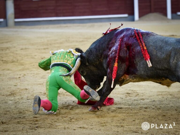 Luis Gerpe est combattu à partir d'une durement pris à Madrid