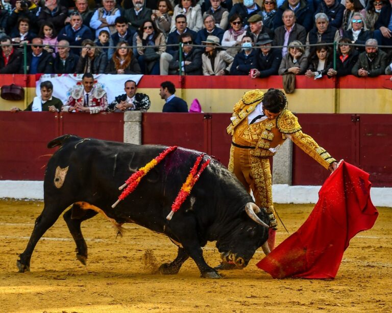 Morante, à Moralzarzal: le retour à la communauté de Madrid dix mois plus tard