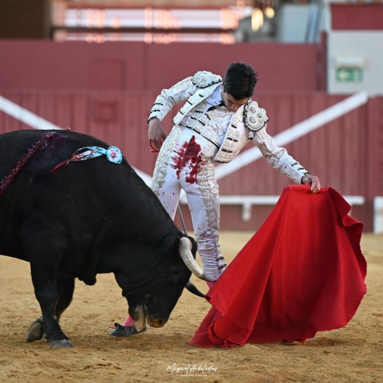 Olga a épousé Captivates Puertollano, deux oreilles et la queue du sixième; Extraordinaire Marco Pérez avec une Vierge Marie Retour sur le ring: deux oreilles (Direct: Puertollano)