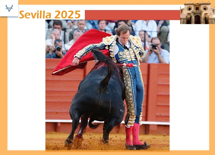 Román, dans un manque de touristes de Séville