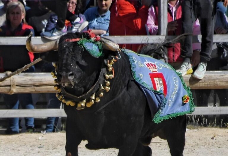 Tout le lâche de San Marcos à Arroyo del Ojanco