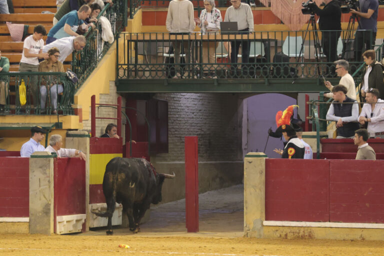 Zaragoza: La corrida devrait mieux prendre soin de son image