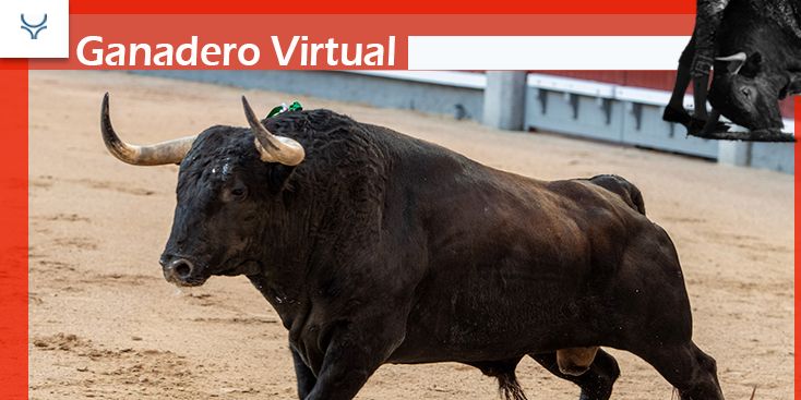 L'agriculteur virtuel de Fuente Ymbro: un «amer» pour réjouir la première série de Fuente Ymbro