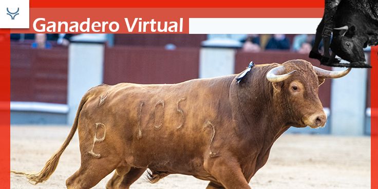 L'agriculteur virtuel d'Alcurrucén: Alcurrucén suspend sa première apparition