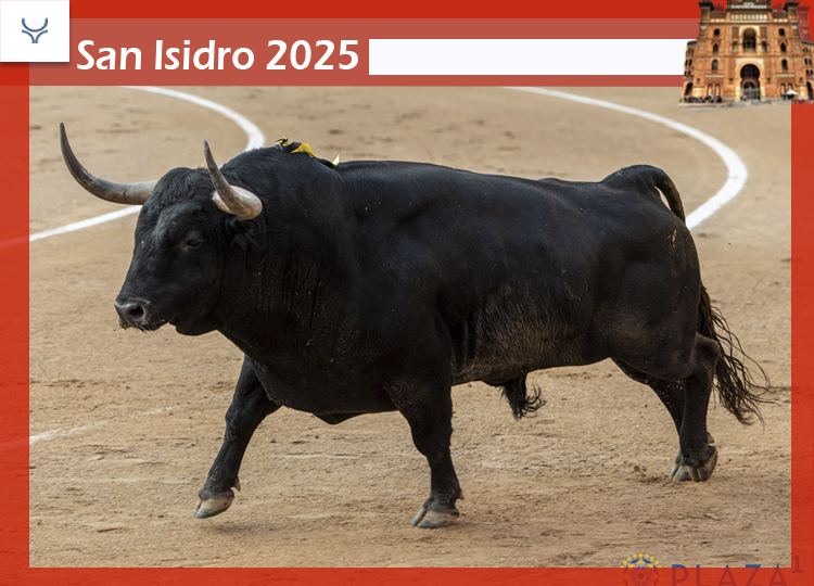 L'agriculteur virtuel: Victoriano del Río et un autre taureau de Puerta Grande à Madrid