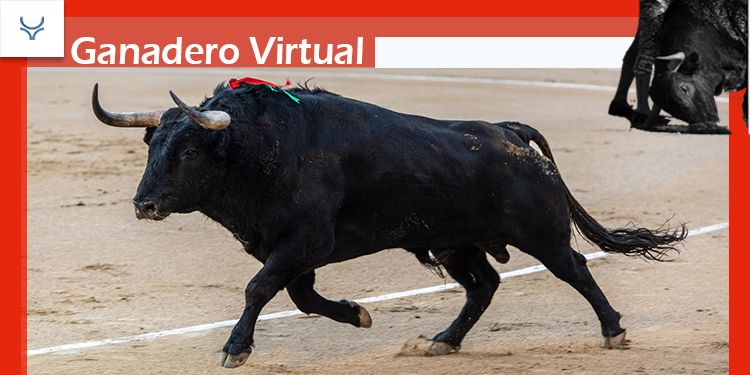 L'agriculteur virtuel: Zacarías Moreno tire la note à Madrid