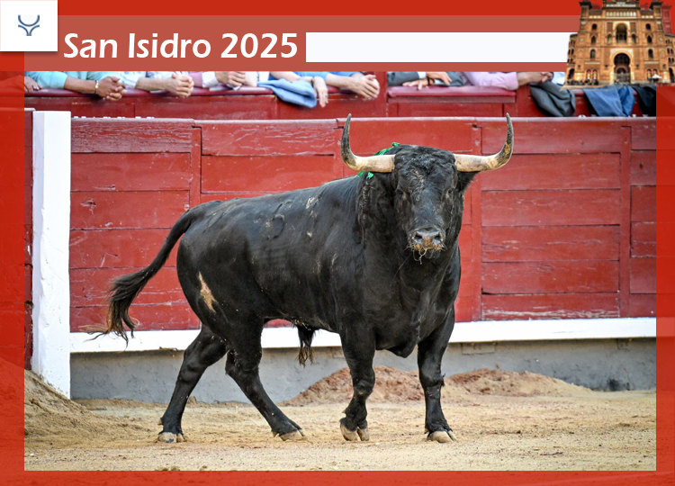 L'agriculteur virtuel de Fuente Ymbro: Román a mis la bravoure