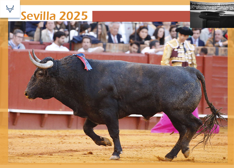 'Mosqueón' détient le succès de Victorino Martín à Séville