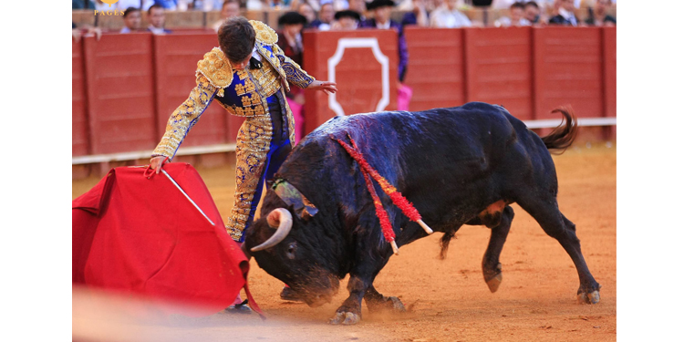 Aaron Palacio et deux tâches pour confirmer une réalité à Séville