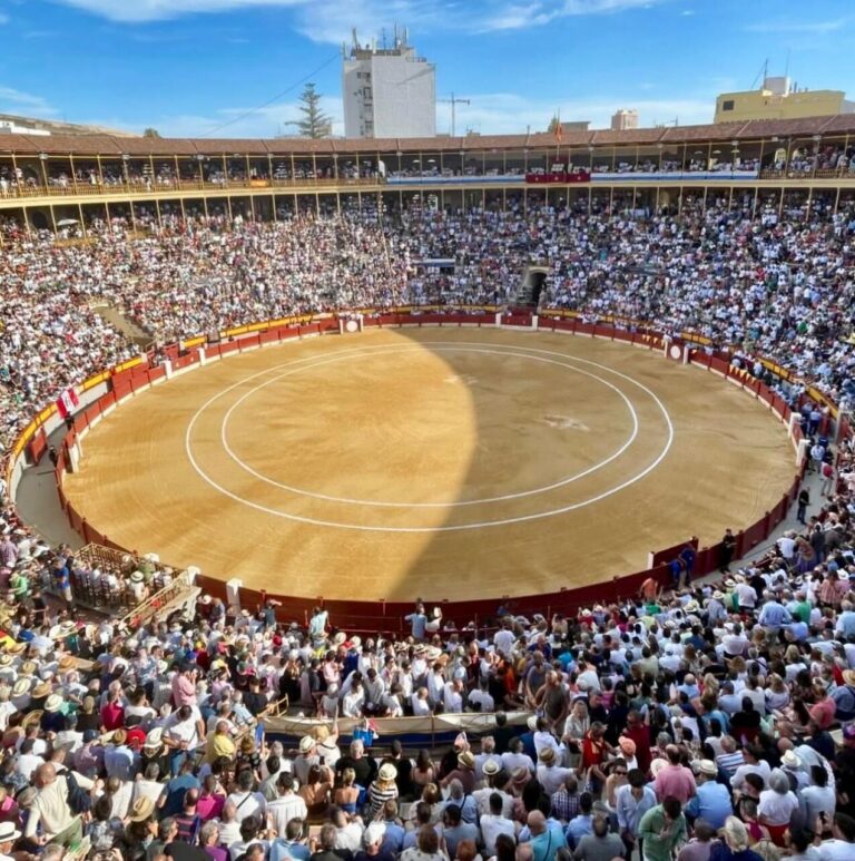 Alicante commence ce soir la vente en ligne de billets pour toutes les célébrations de la foire des feux de joie