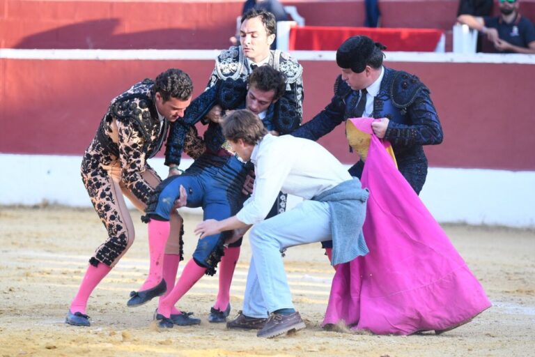 Álvaro Burdiel: «Blessé par Asta de Toro dans le tiers supérieur de la face intérieure de la cuisse droite» (partie médicale)