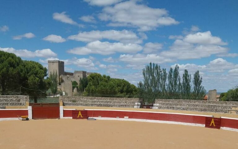 Ampudia annonce pour ce week-end son cycle IV de corridus et la finale du sac scolaire de taureaux Palencia