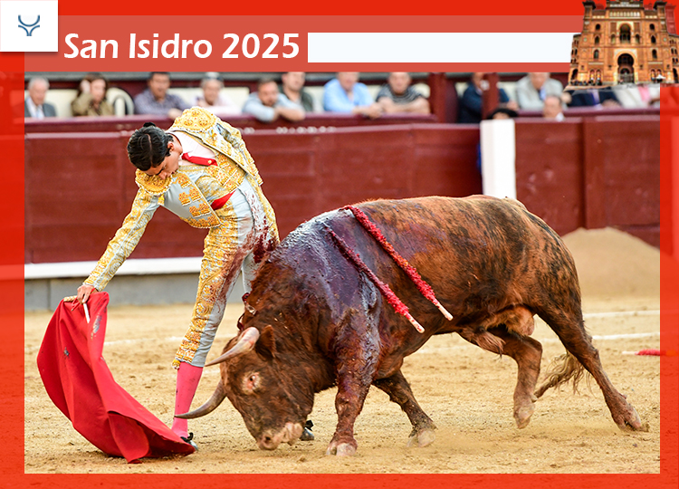 Des tonnes de glaçons