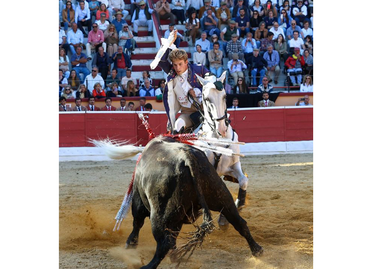 Duarte Fernandes: de Castellón à Montijo avec des ventes à l'horizon (galerie)