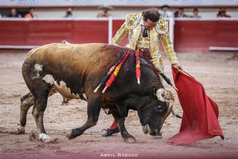 Ferrera est excité et part, coupe une oreille et gagne le «trophée de presse» dans Aguascalientes