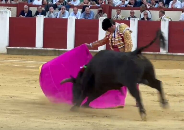 Juan Ortega: une corrida et un excellent début à Valladolid